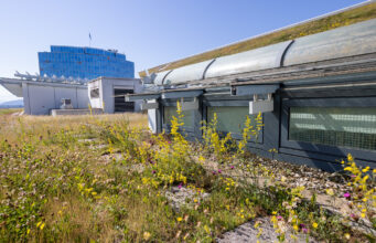 Bochumer Grüne fallen bei Dachbegrünung um – Koalition im Abstimmungs-Chaos