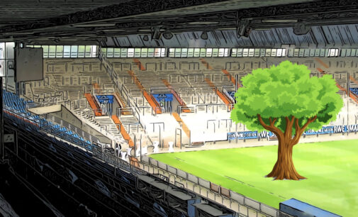Idee für den VfL Bochum: Für jede Gelbe Karte soll Baum gepflanzt werden.