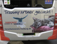<strong>Bochumer Tierschutzvereine sollen kostenfrei auf Fahrzeugen von Bogestra, USB und Co werben</strong>
