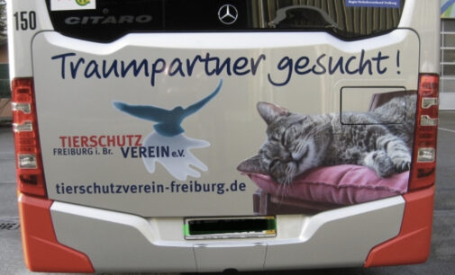 <strong>Bochumer Tierschutzvereine sollen kostenfrei auf Fahrzeugen von Bogestra, USB und Co werben</strong>